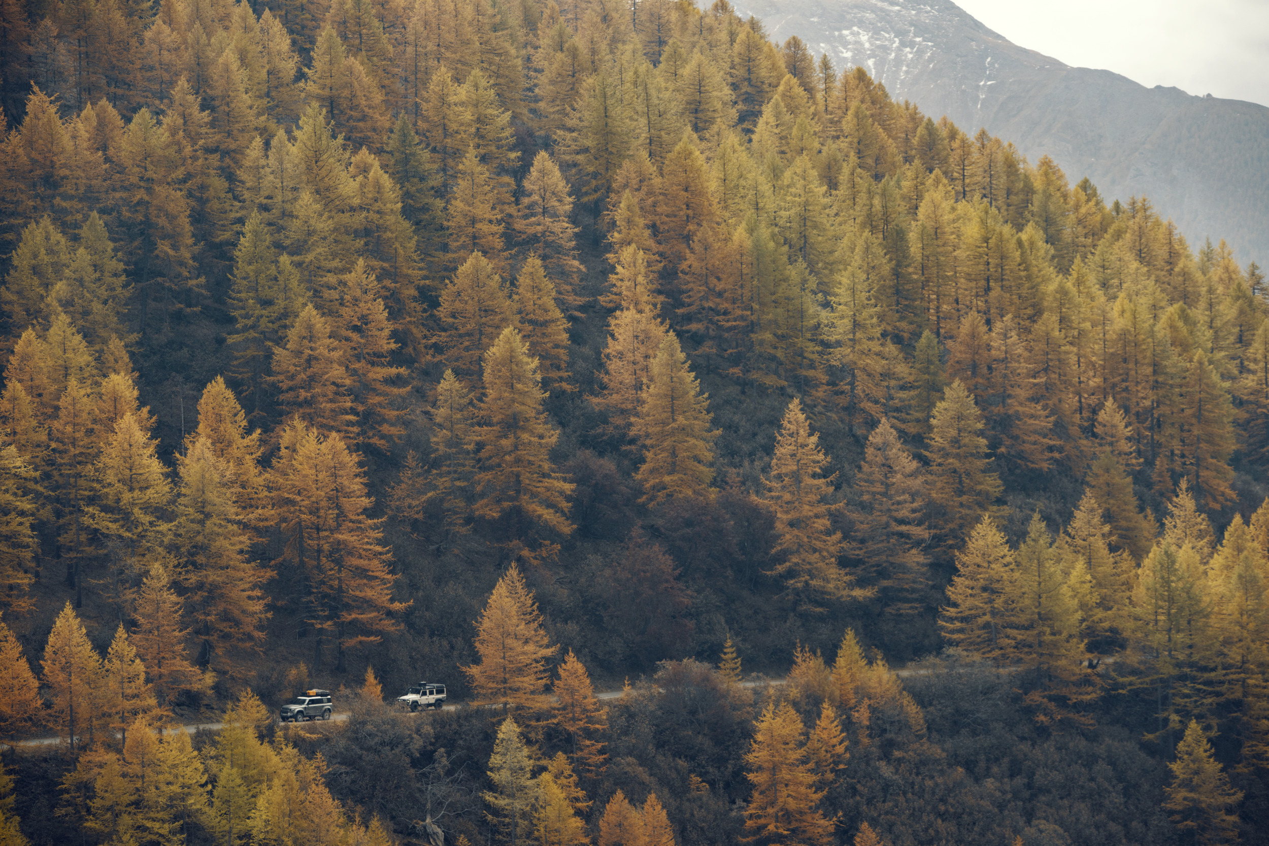 Dometic Defender Patrol Roof